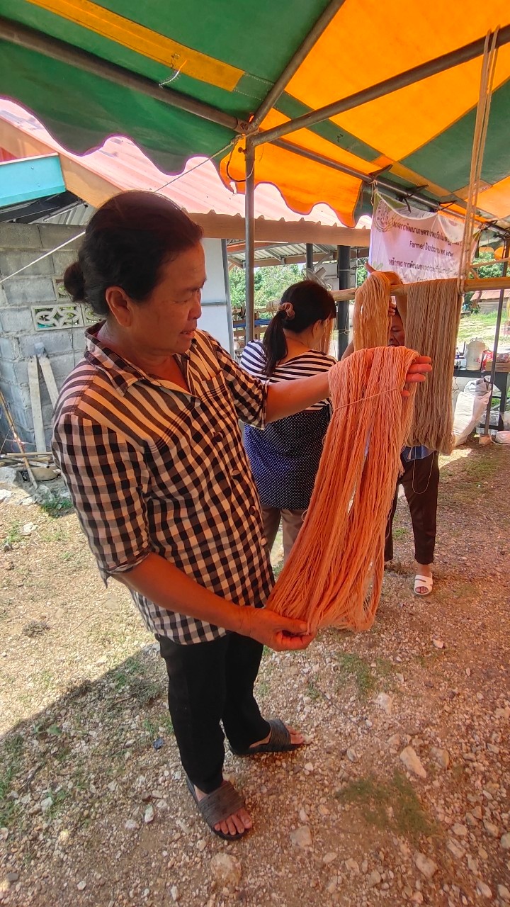 title - อบรมเกษตรกรโครงการพัฒนาเกษตรปราดเปรื่องในเขตปฏิรูปที่ดิน (Smart Farmer) ปีงบประมาณ พ.ศ. 2567